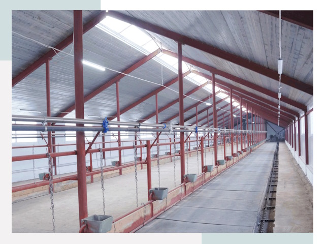 Строительство коровников в Вязниках от 641 руб.