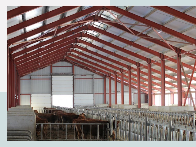 Строительство коровников в Вязниках