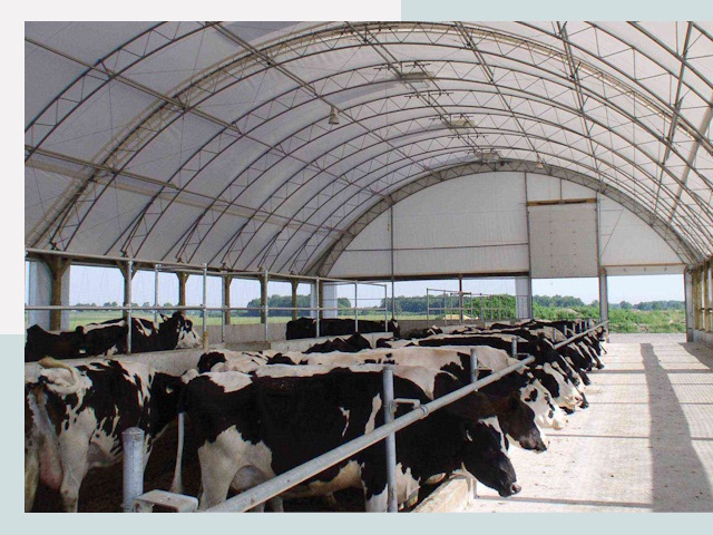Тентовые коровники в Вязниках